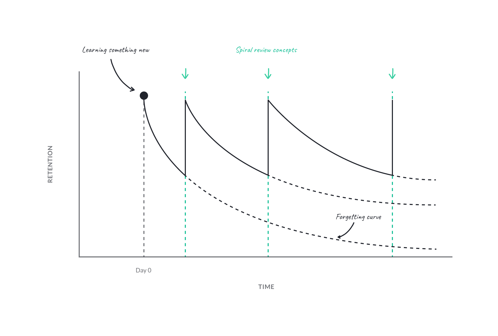 The forgetting curve and how consistent review helps for long-term knowledge retention